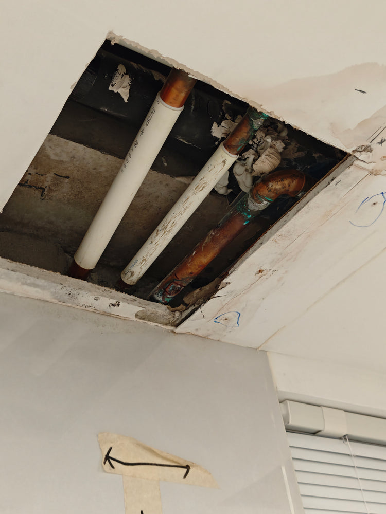 Professional Leak Detection Services