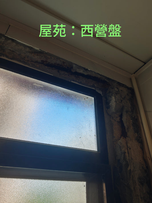 tile-repair-home-renovation